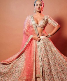 only-premium-luxury-jaipur